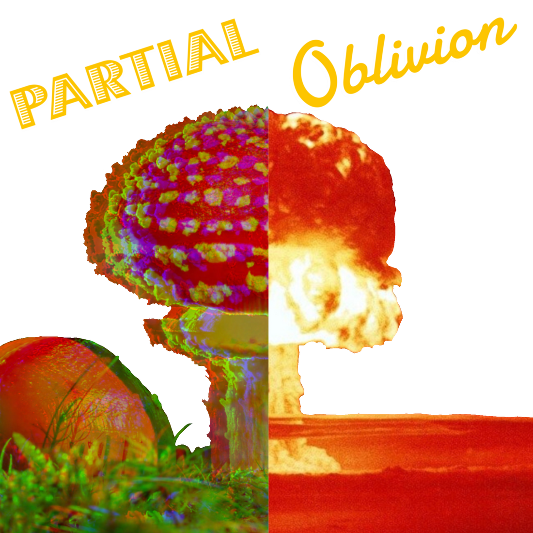 Partial Oblivion | Case File 006 | Assess - Listen - Exit (A.L.E.)