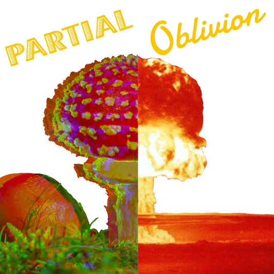 Partial Oblivion | Case File 006 | Assess - Listen - Exit (A.L.E.)