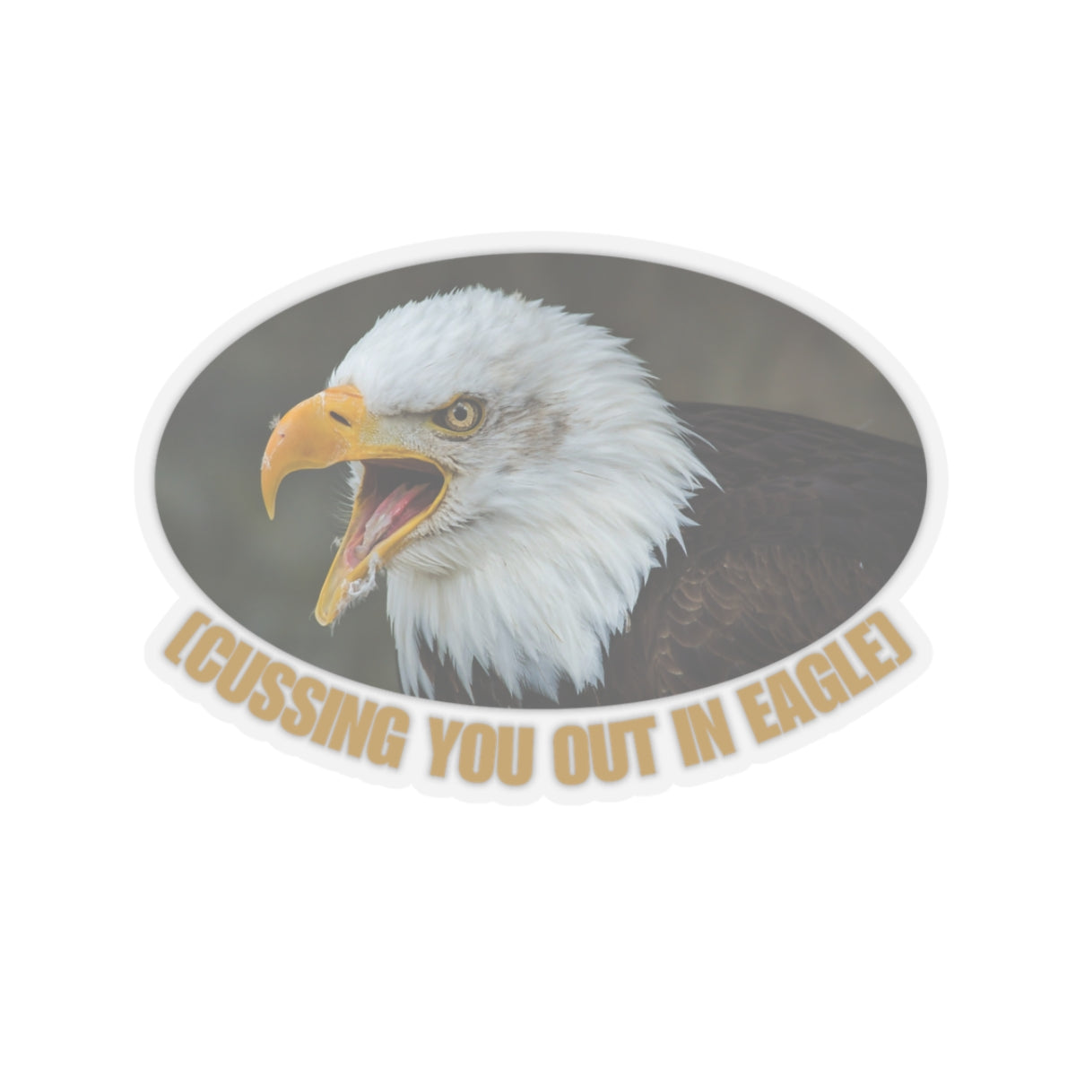 Eagle Talk x 3 [Sticker]